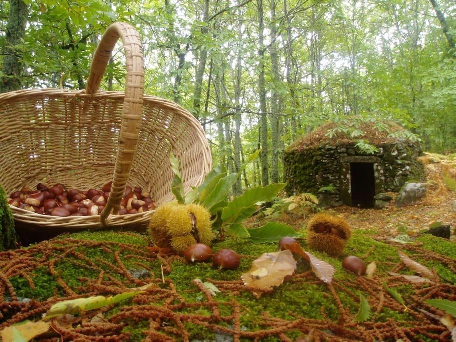 Casa Rural Margarita I Montanchez Ngoại thất bức ảnh
